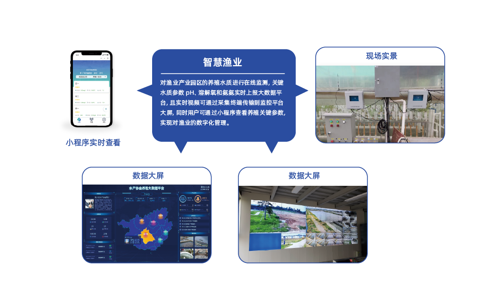 场景应用 (1).jpg