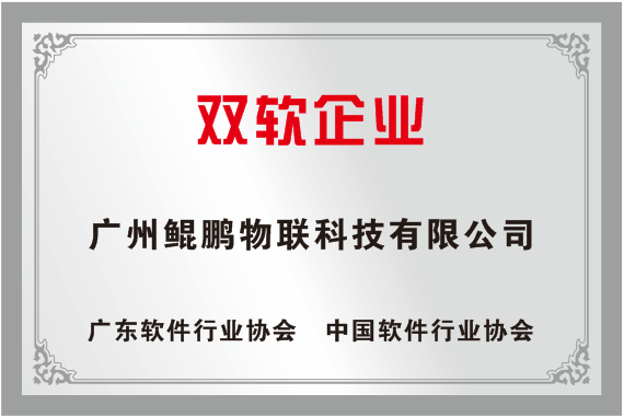 双软企业.png